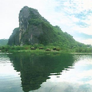 琴溪镇人民政府